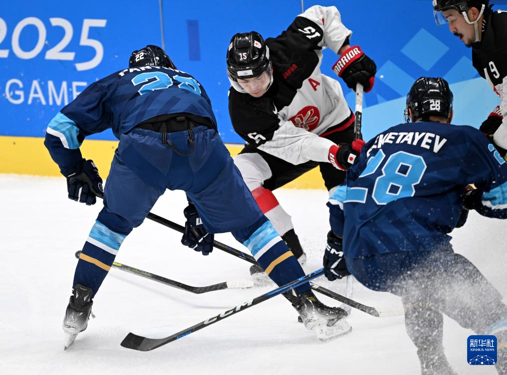 世界赛舞台，冰球代表国家出征荣耀的简单介绍