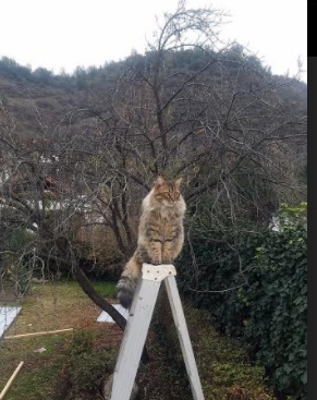 开云体育在线-钢铁防线锁死波兰尖刀，卡瓦哈尔在伯纳乌的自我正名