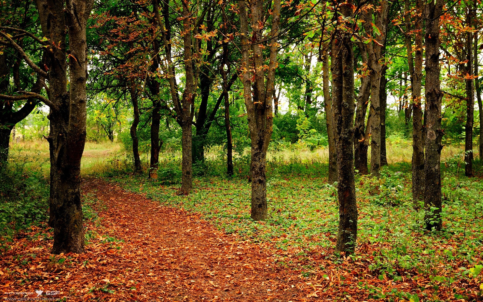 开云体育登录-数据驱动的复古旋风，公牛以赛季最高效进攻波，将湖人钉上连续4分11秒得分荒的耻辱柱
