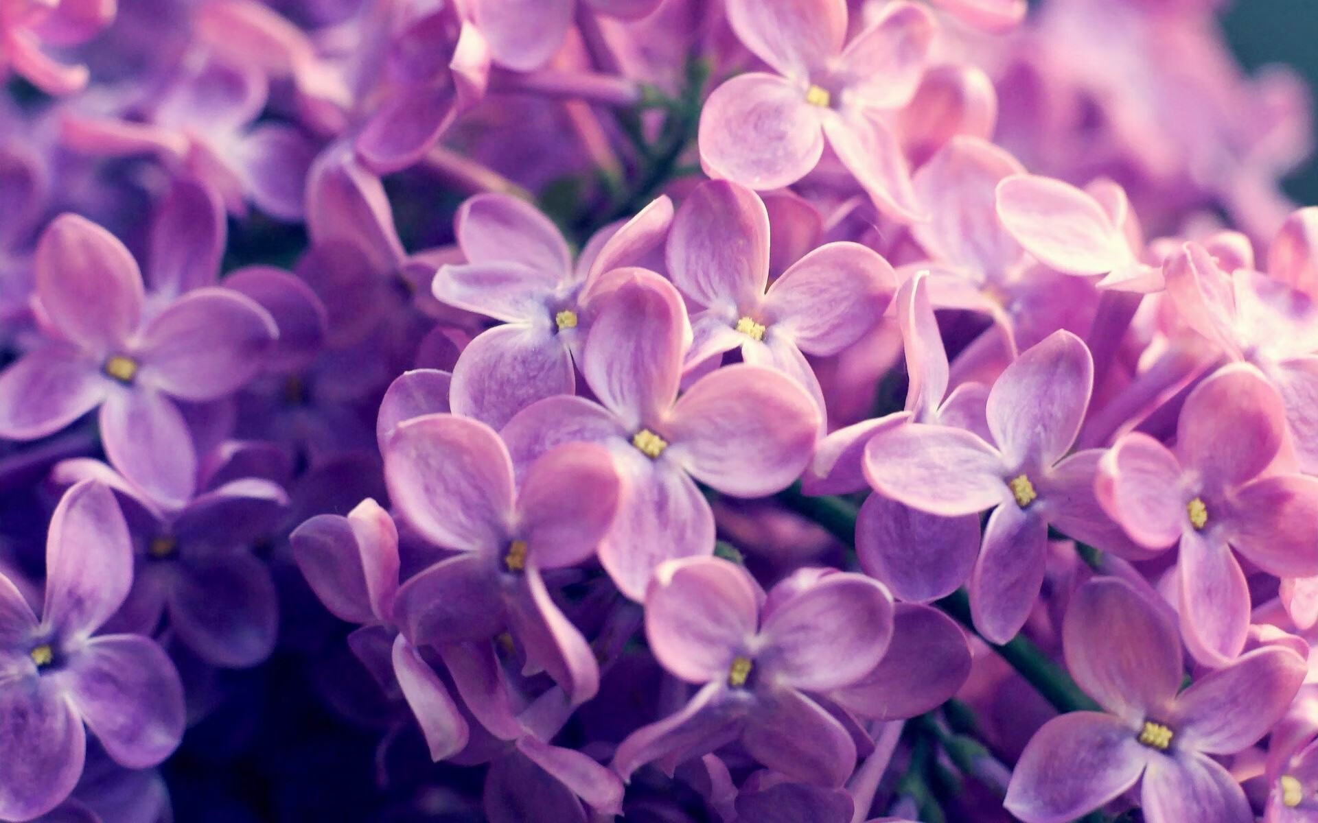 开云体育app-葡萄牙引擎驱动红魔奇迹，拉什福德一剑封喉斩落尤文