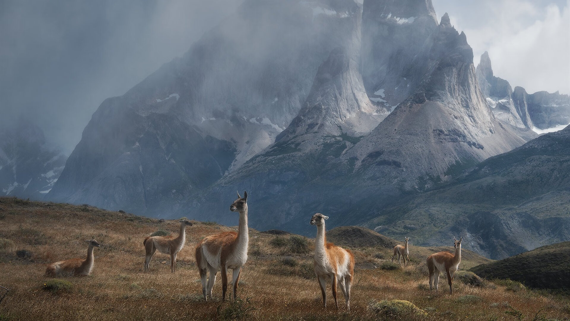 F1新赛季揭幕战，加纳车队稳操胜券，哥伦比亚挑战未果