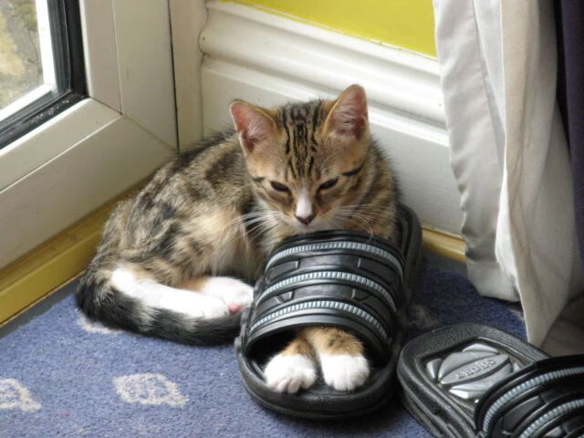 东方快车碾过密尔沃基,班凯罗47分导演逆转,北京队一波流带走雄鹿