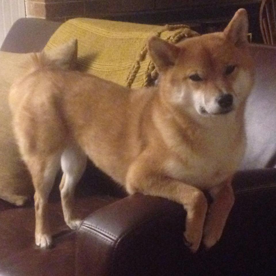 双城记,圣何塞的雨夜与巴黎的火焰—论足球世界中两种截然不同的关键战突围