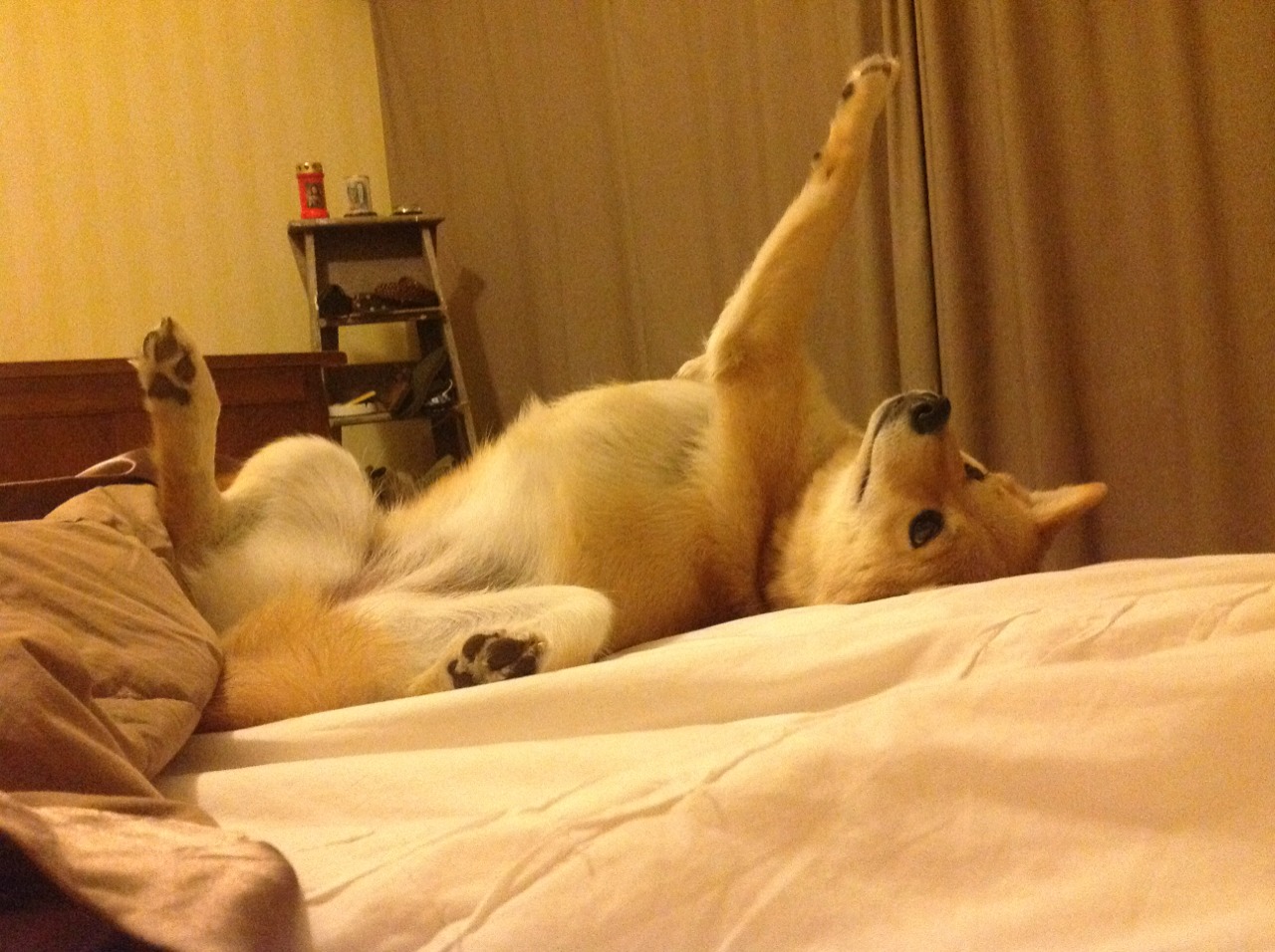 开云体育平台APP-平行宇宙的篮球盛宴，当文班亚马的爆发遇上公牛的稳健