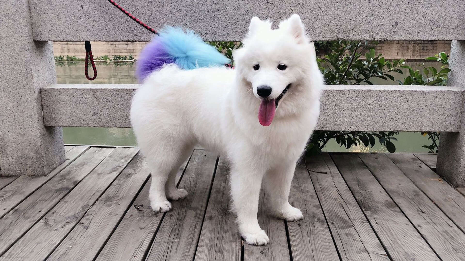 开云体育APP下载-异曲同工，久保建英的全面统治与伊朗的团队狂胜，现代足球的双面镜