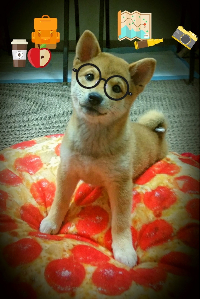 开云体育中国-从铁闸到尖刀，法比尼奥的战术涅槃，助西班牙力量跨越莱比锡红牛，驶向冠军彼岸