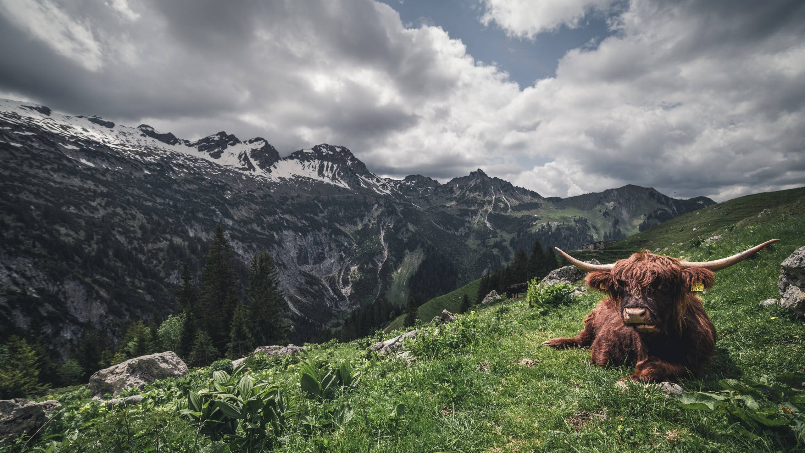 贝林厄姆主宰抢七之夜，全场最佳殊荣无悬念