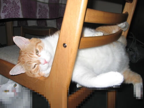 西决生死战之夜，霍勒迪将球场变作自己的交响乐池