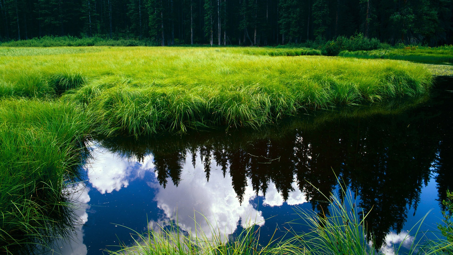 开云体育平台APP-格列兹曼爆发梅开二度，佛罗伦萨主场惊天逆转比利时劲旅