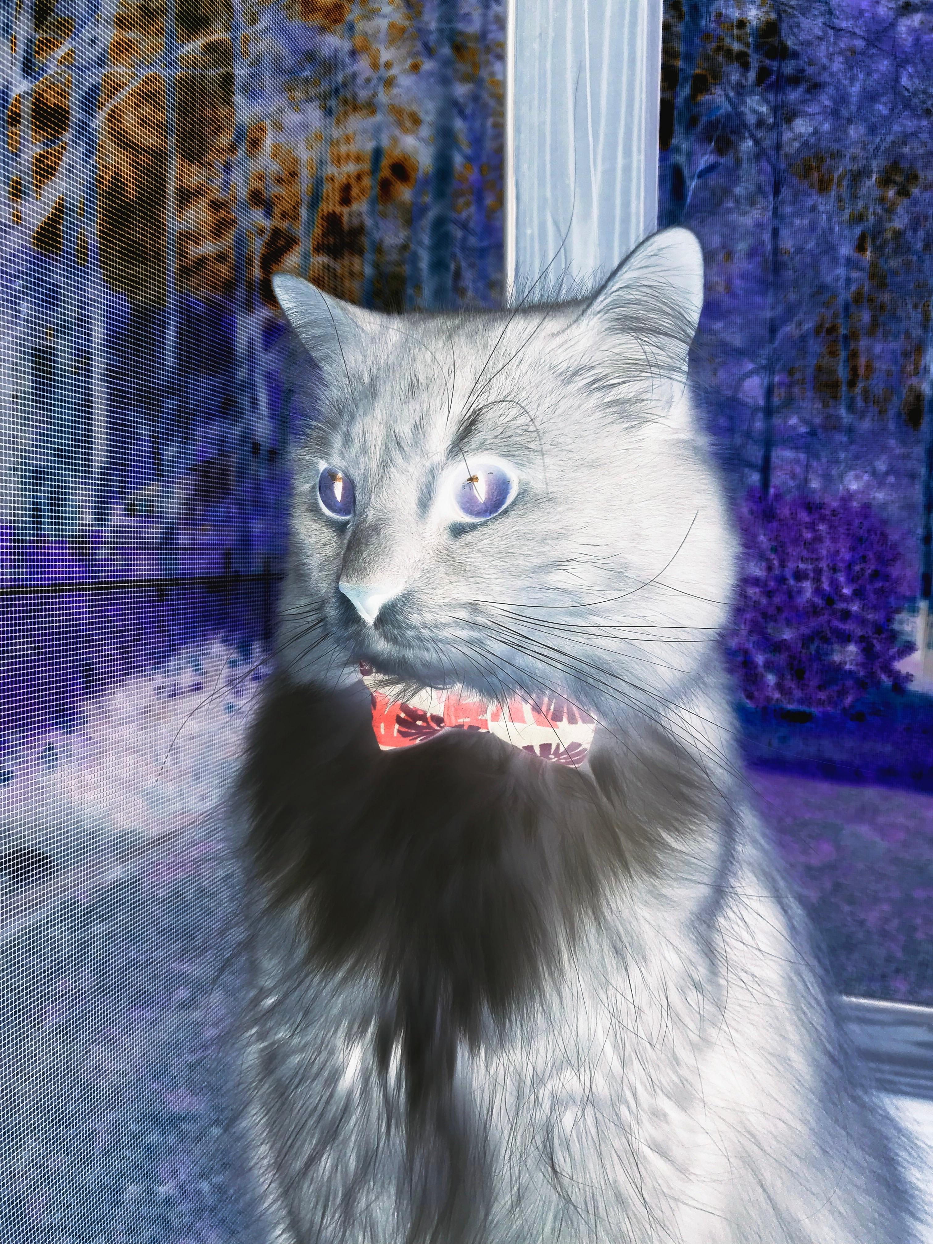 开云体育平台APP-轰鸣与怒吼，边界上的极限