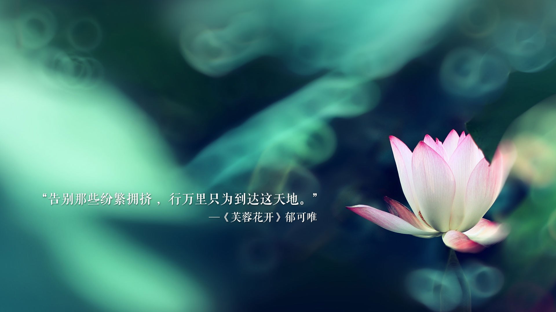 开云体育入口-这是一个非常有意思的命题组合—日本碾压巴西与梅西致命一击在逻辑上看似矛盾，实则蕴含着巨大的戏剧张力。为了将这种唯一性呈现出来，我们需要构建一个超越常规体育报道的叙事框架