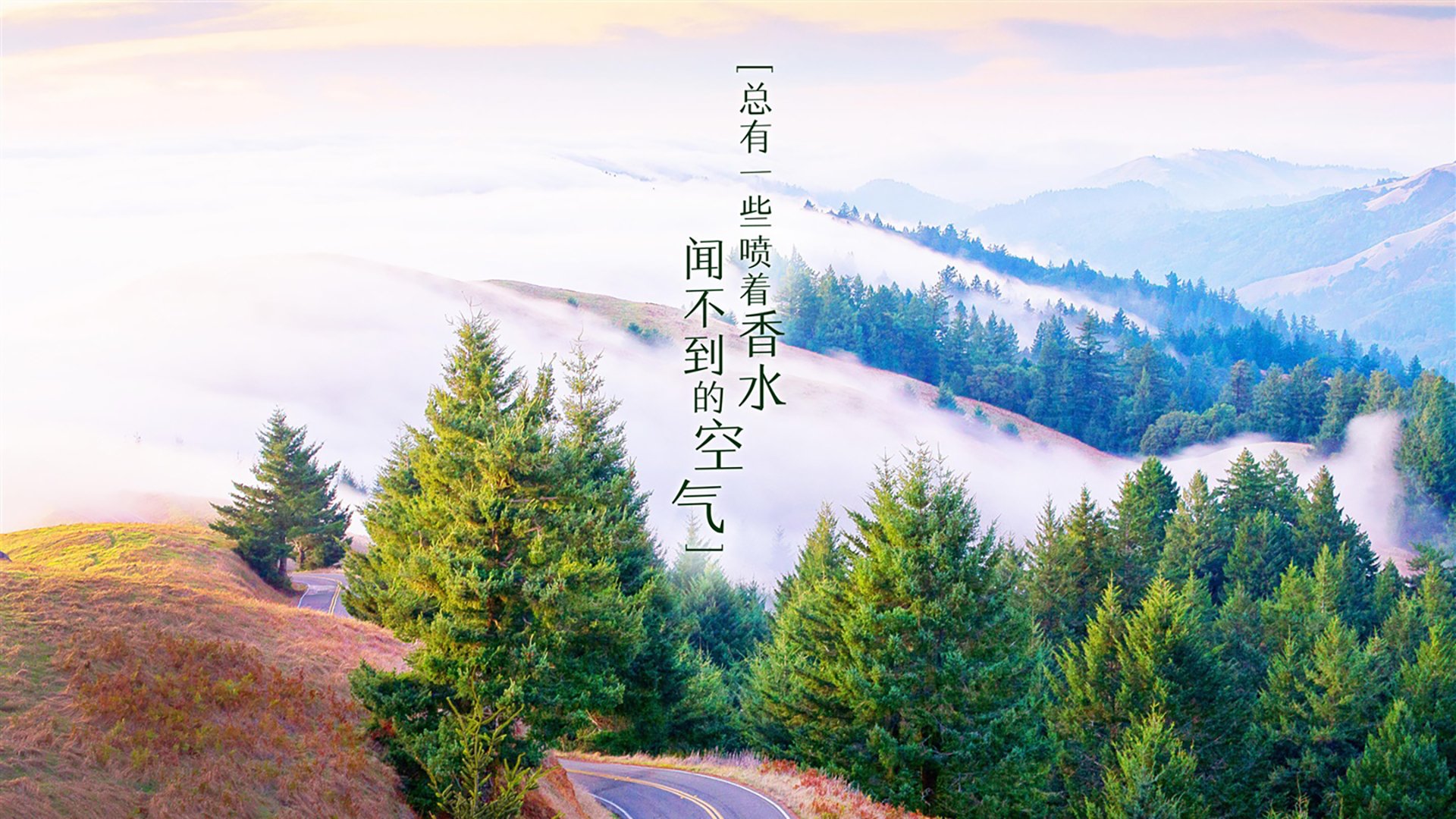 最冷门的华丽，当南美铁骑与东亚风暴席卷A组，智利如何用三笘薰战术碾压伊朗