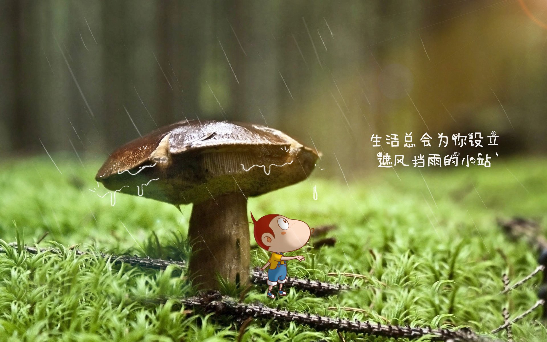 沙漠绿洲的巨星奇迹—内马尔归化首秀,阿联酋世界杯生死战绝杀厄瓜多尔