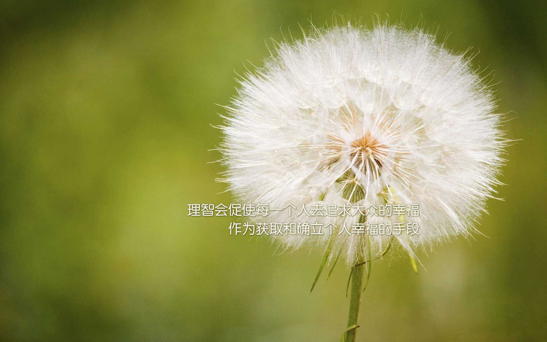 冰与火的救赎,唯一界碑上的那一脚—2026世界杯G组关键战,布罗佐维奇绝杀挪威的宿命时刻