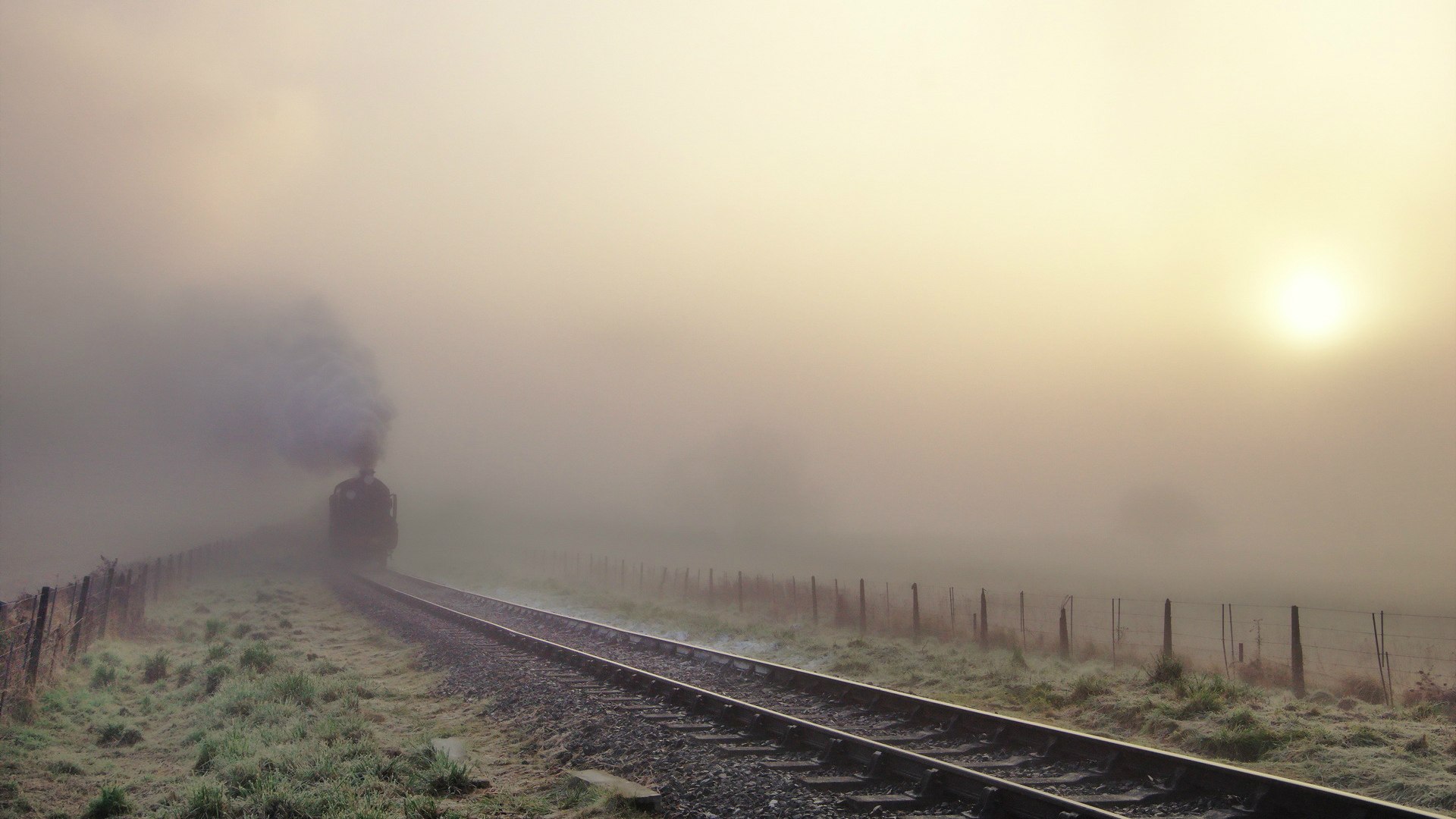 这是一篇为您定制的深度文章，按照您的要求，先扩展思维拟定了一个极具反差感和故事性的标题，再创作正文