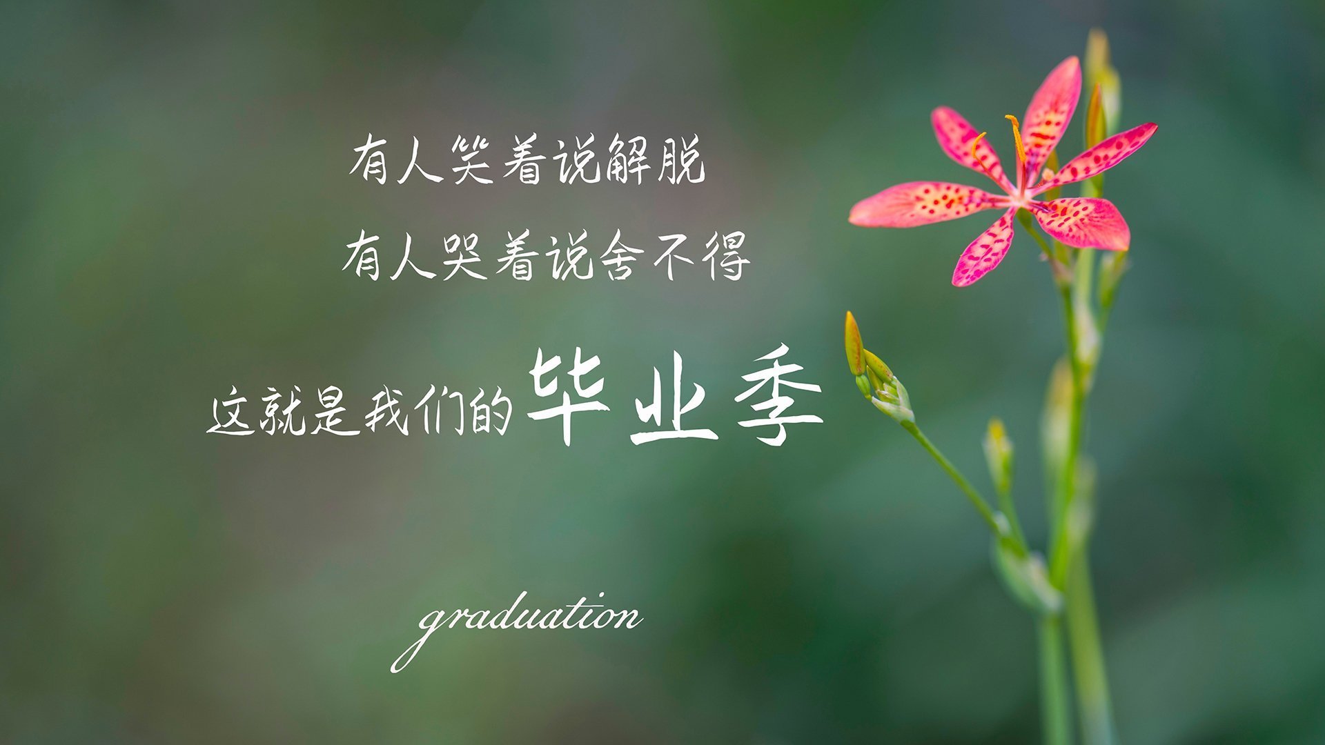 开云体育入口-这是一个非常有意思的选题。为了体现唯一性，我将避开常规的赛事报道写法，而是从 文明碰撞与代际统治力 的哲学视角切入，将这场比赛定义为一场关于足球世界秩序的重塑仪式