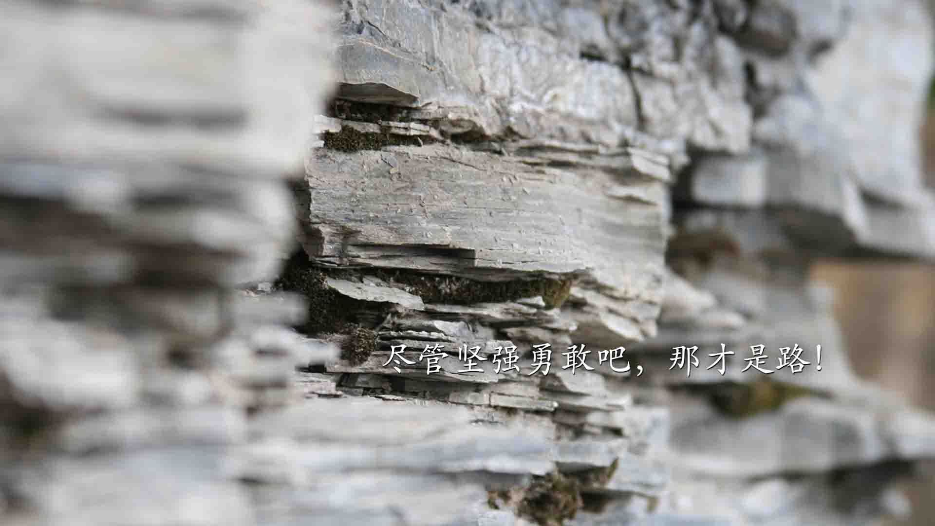 以下是为您构思的标题与文章